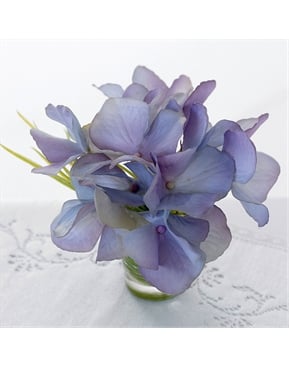 September | Flower of the Month | Bloom UK