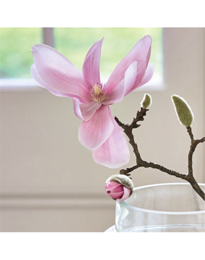 Dark Pink Magnolia Stem