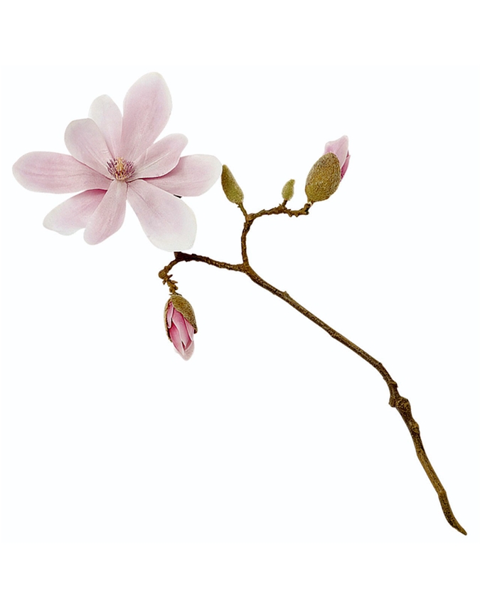 Dark Pink Magnolia Stem