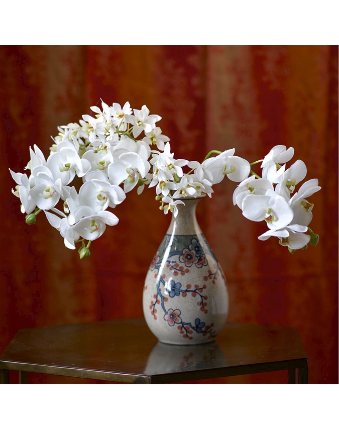 White Phalaenopsis Single Stem