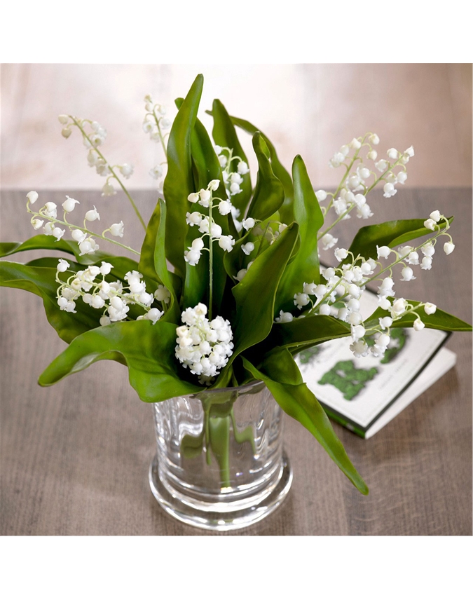 Lily of the Valley Stem