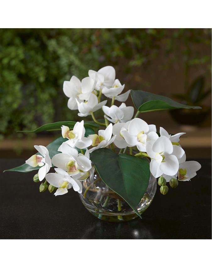 Phalaenopsis Orchid Bowl