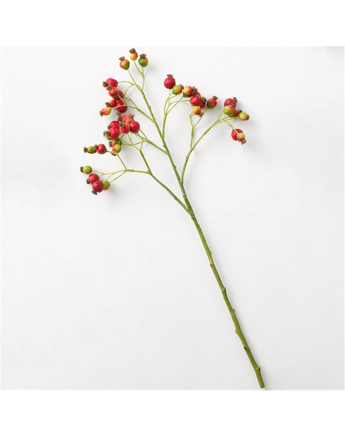 Rugosa Rosehip Stem