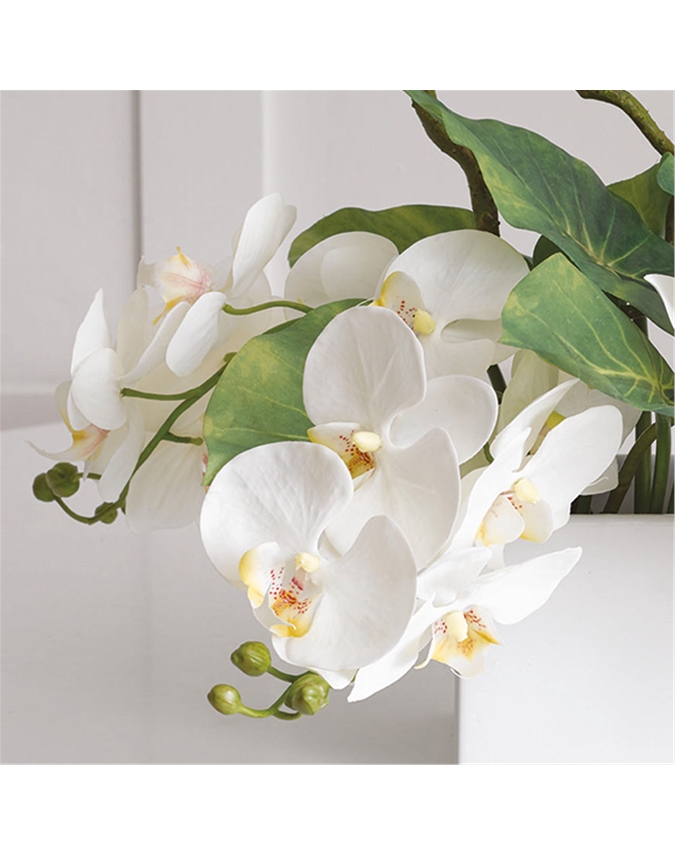 Lusong Orchid Arrangement
