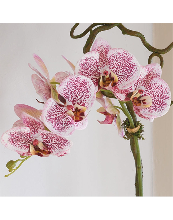 Lusong Pink Orchid - Limited Edition