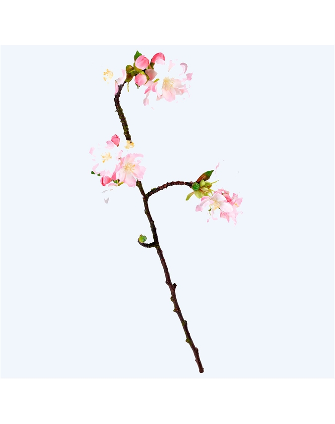 Aika Cherry Blossom Branch