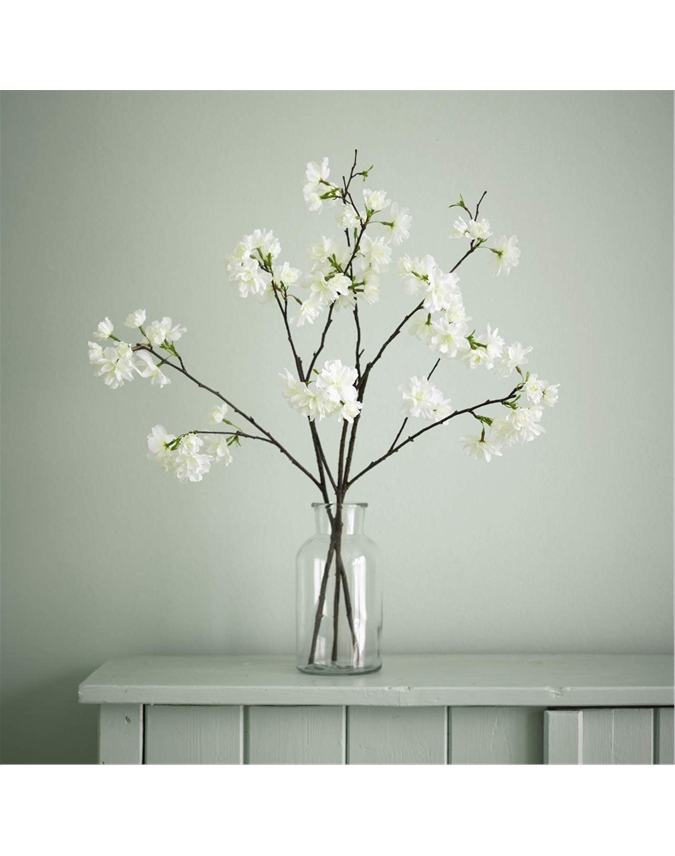 Arles Almond Blossom Branch