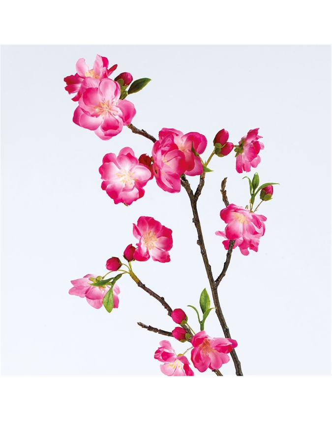 Yuna Cherry Blossom Branch