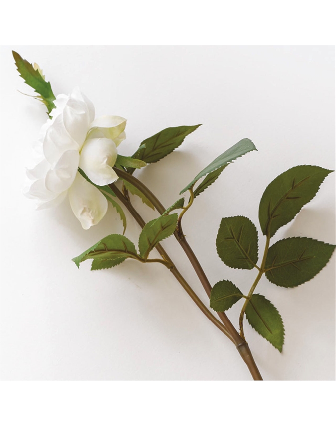 Ruffled White Rose Stem