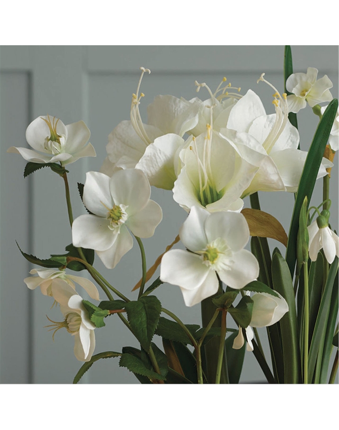 White Amaryllis in a Footed Glass Vase