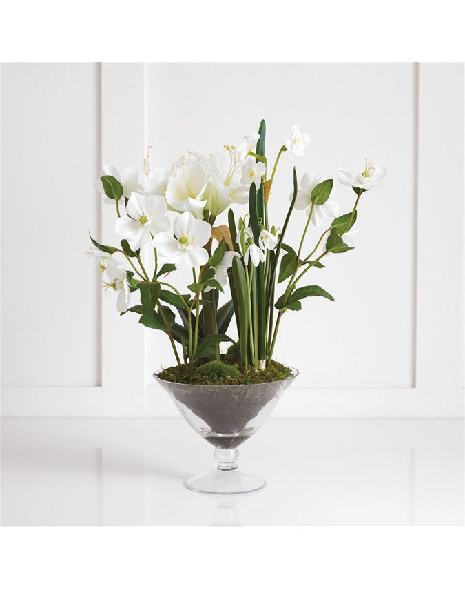 White Amaryllis in a Footed Glass Vase