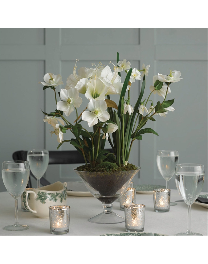 White Amaryllis in a Footed Glass Vase Bloom UK