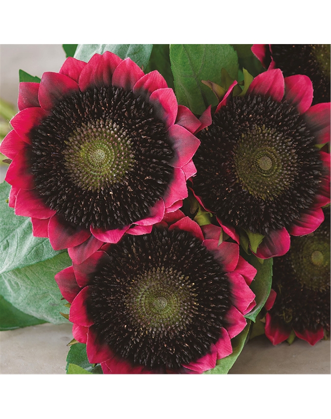 Red Sunflower Bouquet