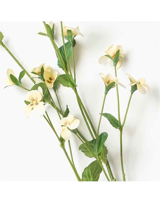 Pansy Stem