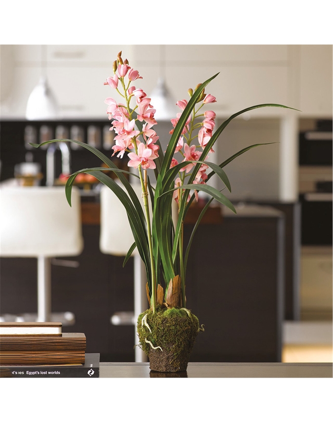 Modernist Kokedama Orchid