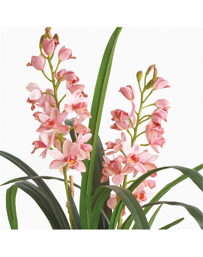 Modernist Kokedama Orchid