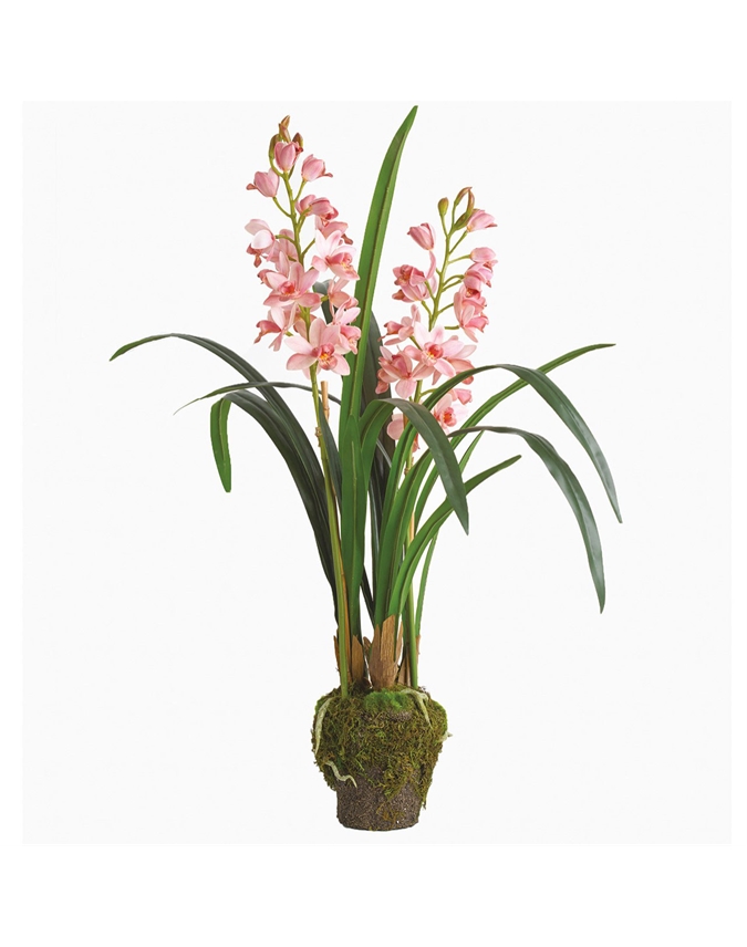 Modernist Kokedama Orchid