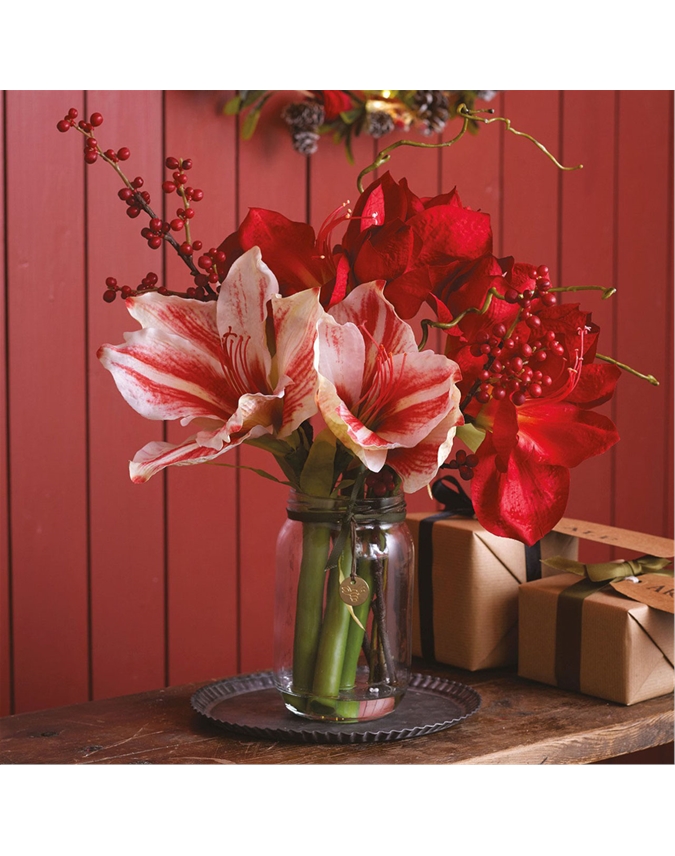Amaryllis and Berry Centrepiece