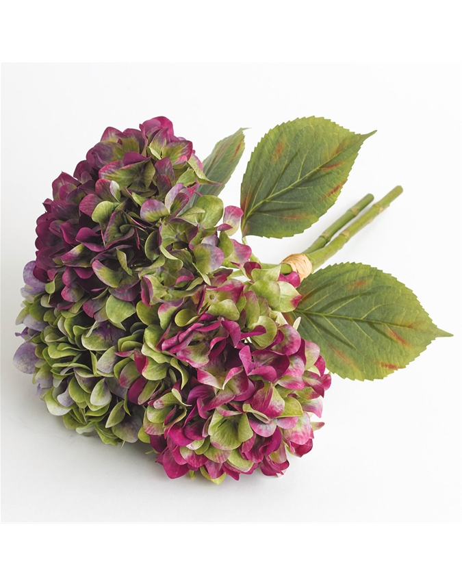 Hydrangea Trio Bundle