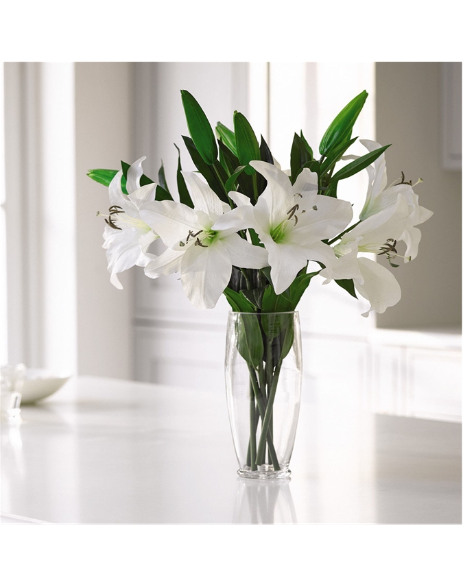 Six White Casablanca Lilies