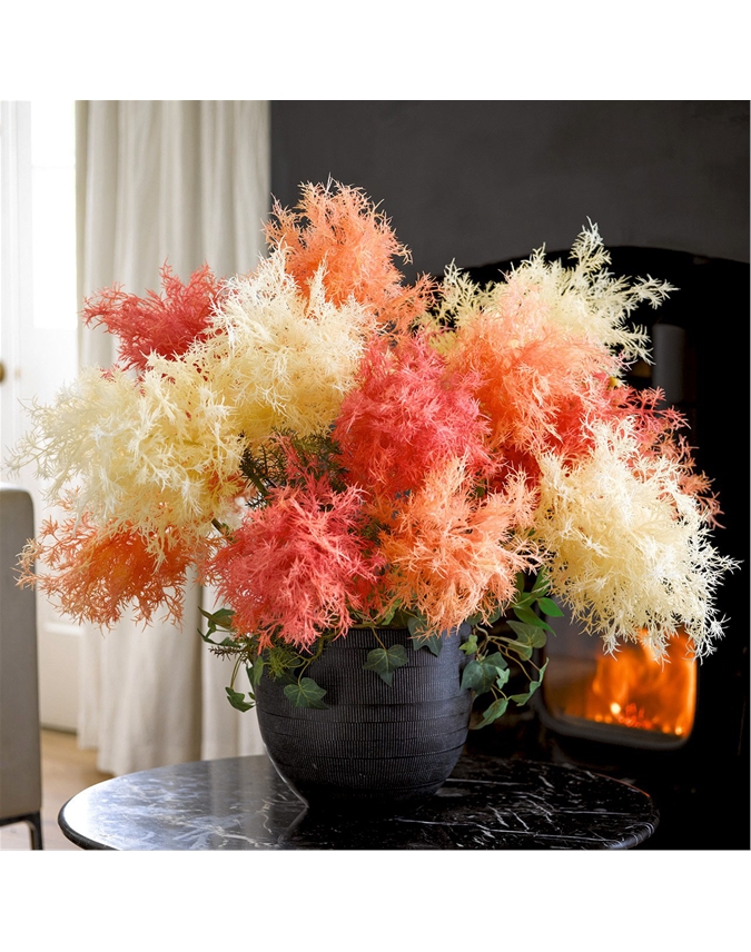 Tall Ivory Flowering Smoke Bush Spray