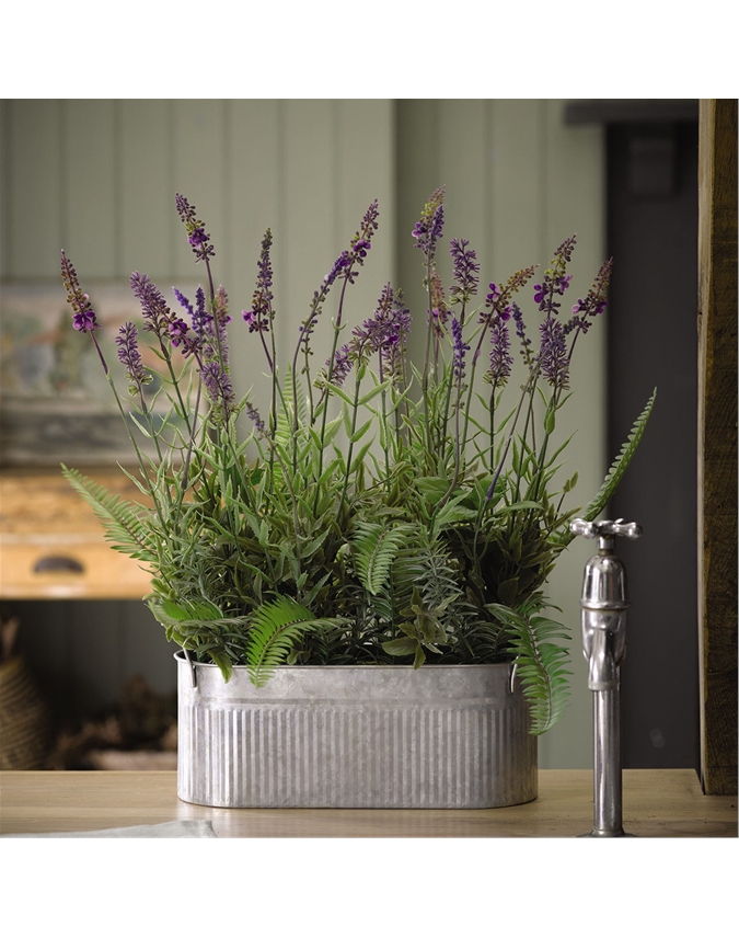 1colour Lavender Trough Bloom UK