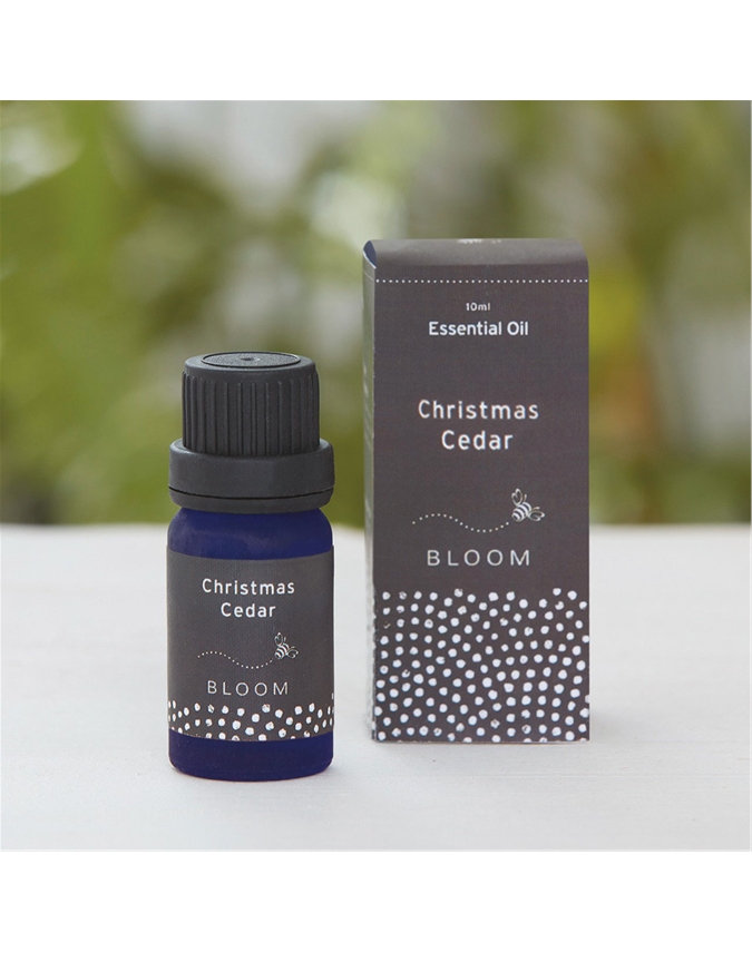 Christmas Cedar Essential Oil