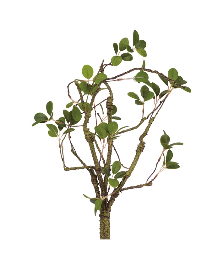Jasmine Leaf Stem