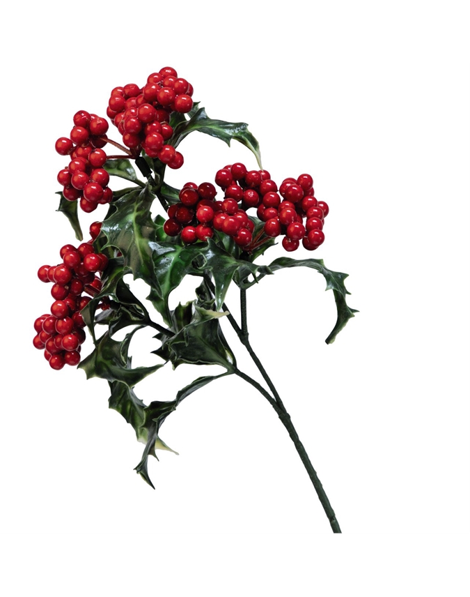 Holly Berry Stem