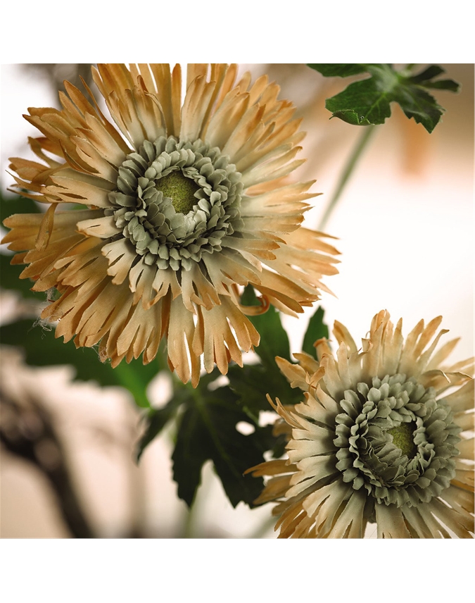 Orange Double Chrysanthemum Spray