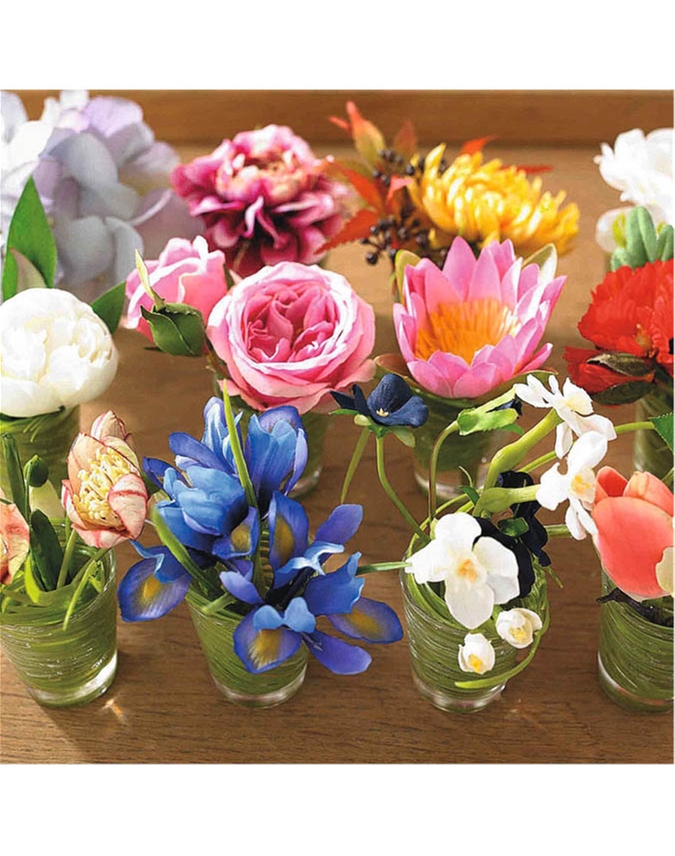 August Flower of the Month Bloom UK