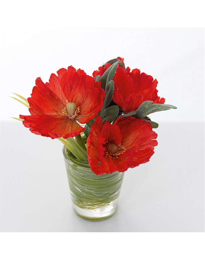 August Flower of the Month Bloom UK