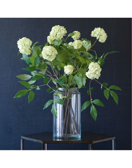 Cream Guelder Rose Branch