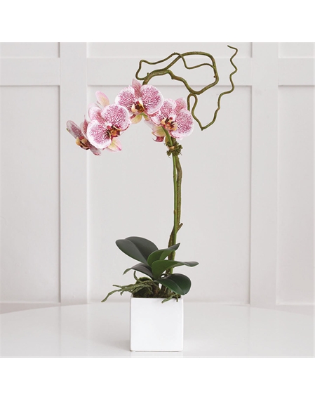 Lusong Pink Orchid - Limited Edition