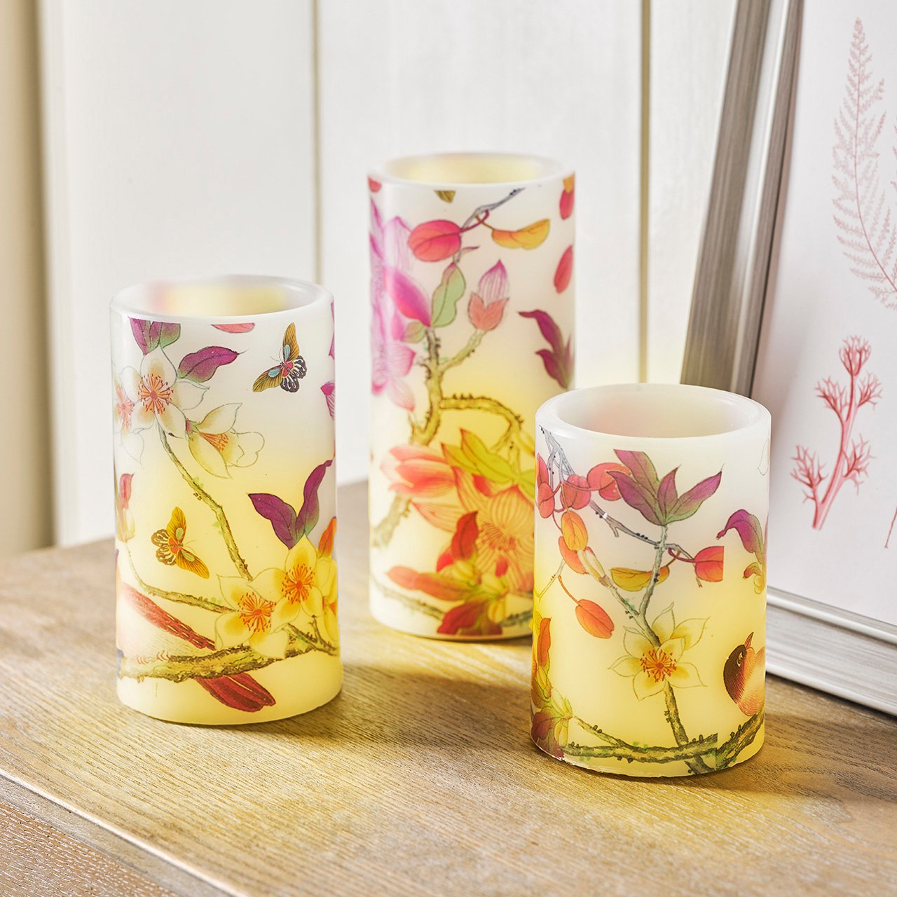 LED Botanic Candles, Set of 3