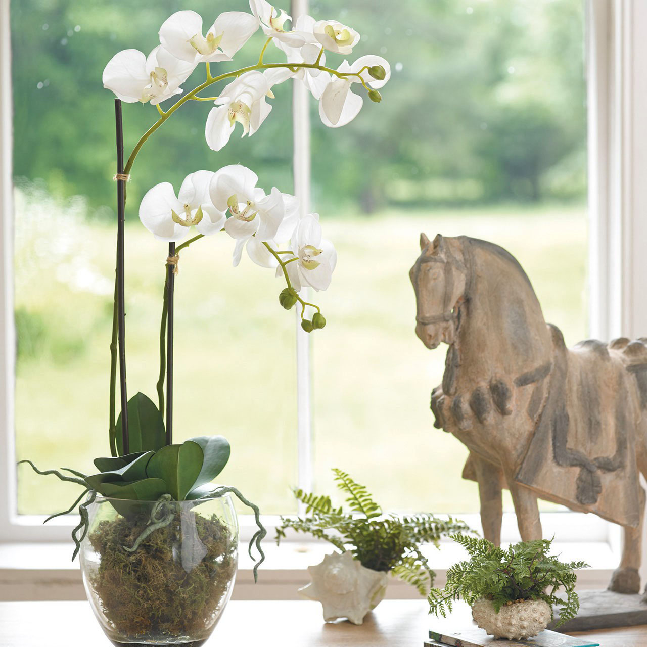 Double Phalaenopsis Orchid in Glass Vase
