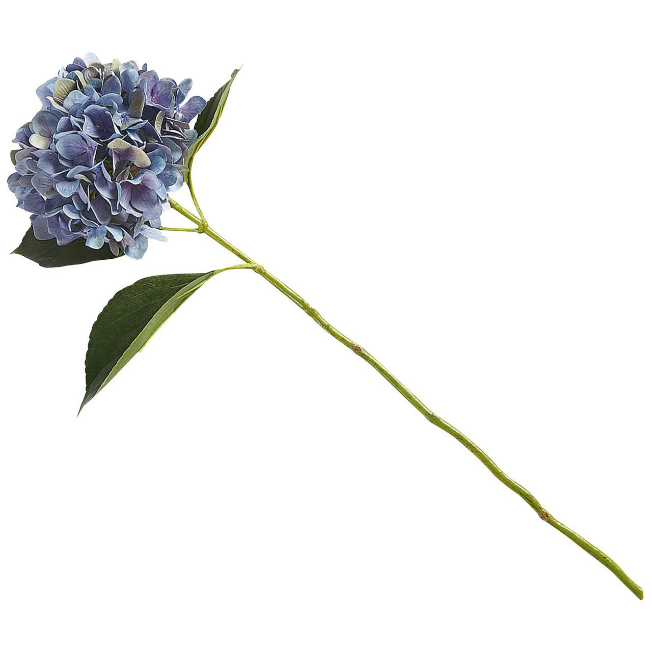 Alice Blue Hydrangea Stem