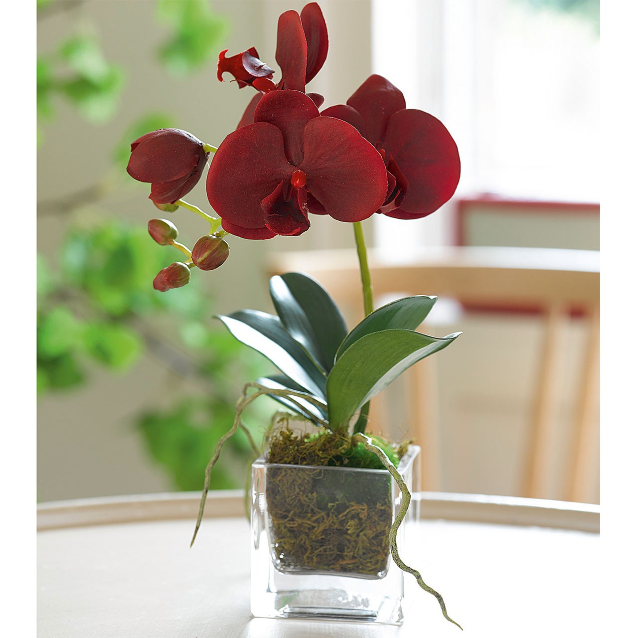 Petite Red Orchid