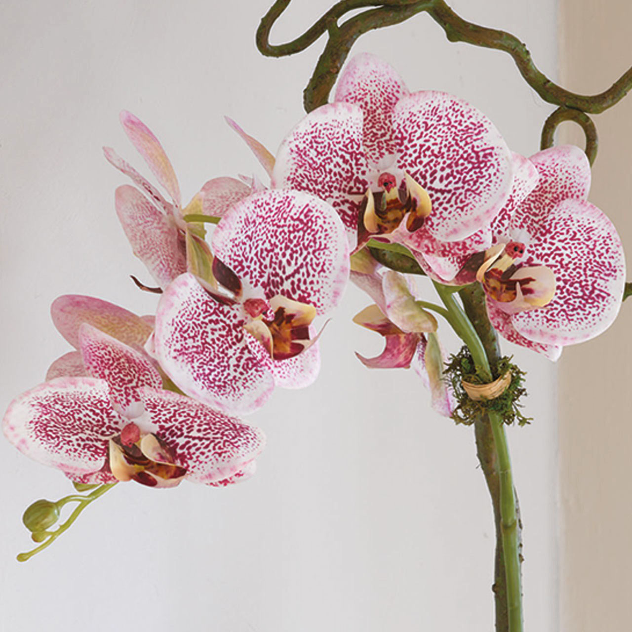 Lusong Pink Orchid - Limited Edition