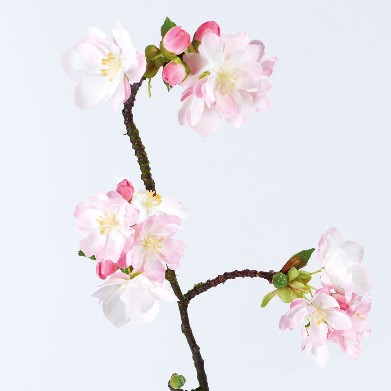 Aika Cherry Blossom Branch