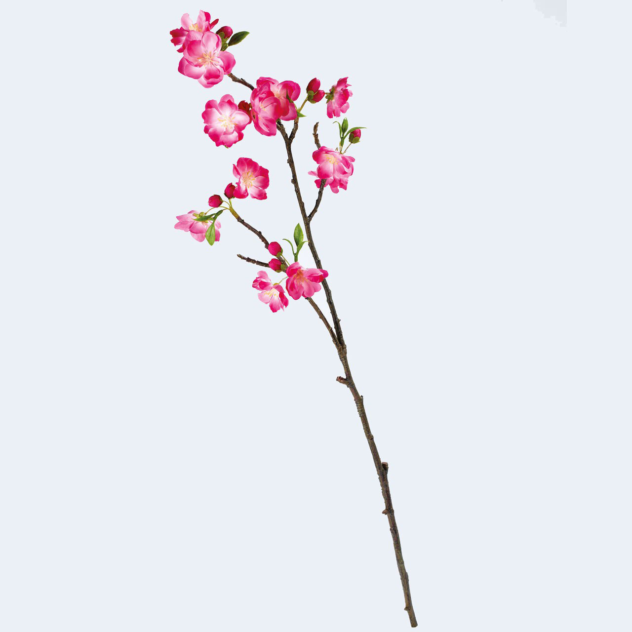 Yuna Cherry Blossom Branch