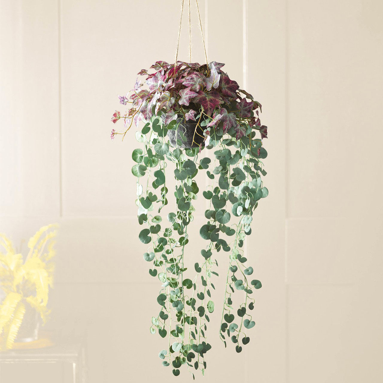 Hanging Basket with 3 Plants