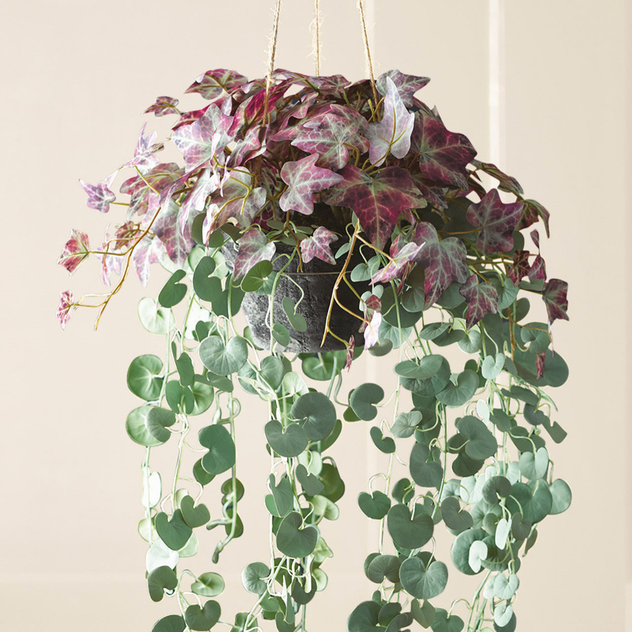 Hanging Basket with 3 Plants