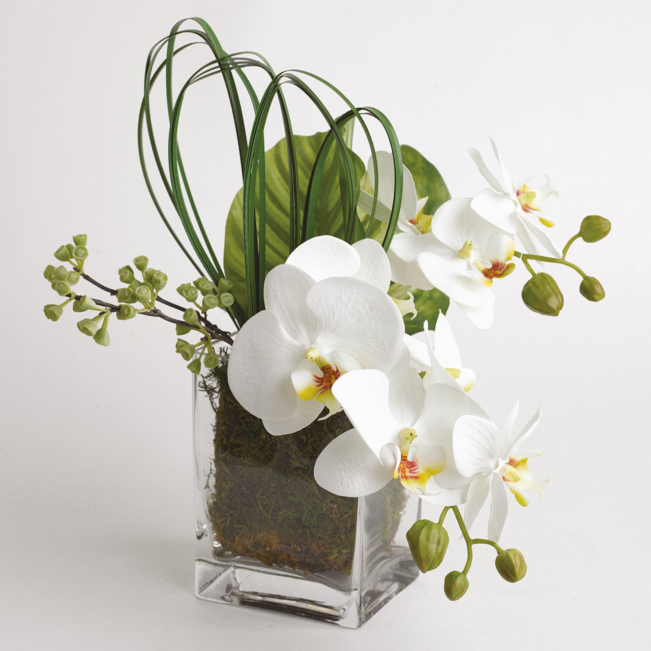 Large Orchid Ikebana in Glass Cube