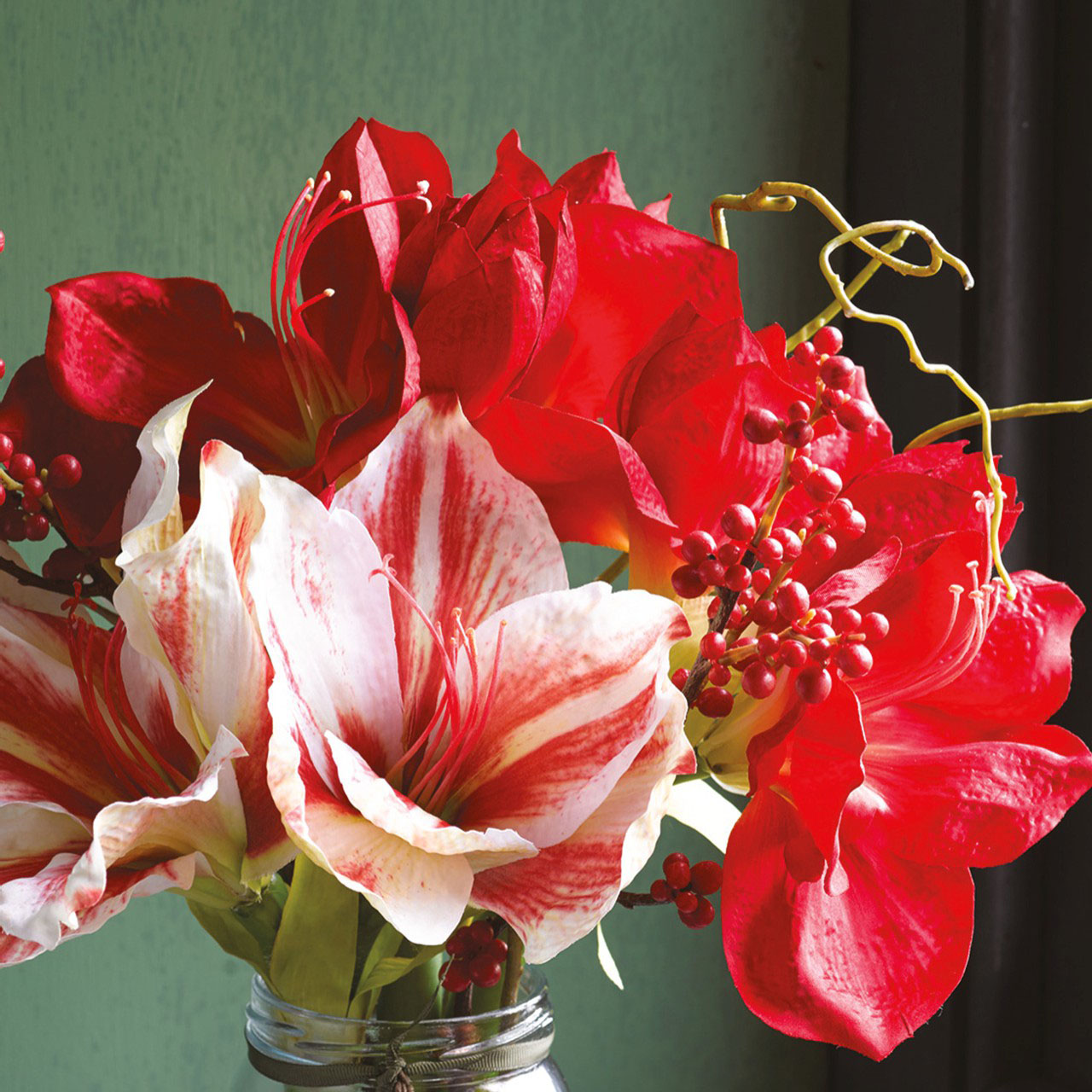Amaryllis and Berry Centrepiece