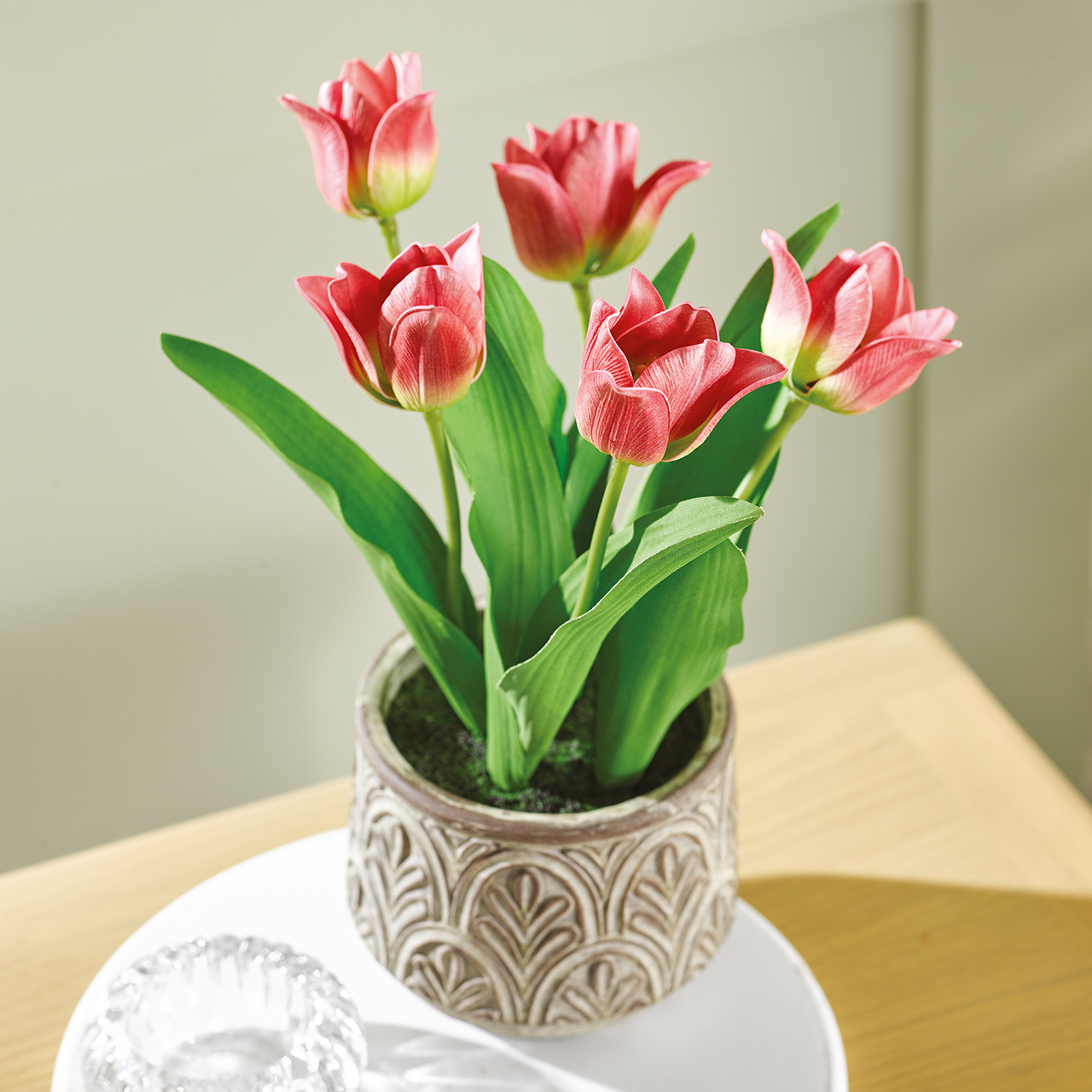 Pink Tulips in Cement Pot
