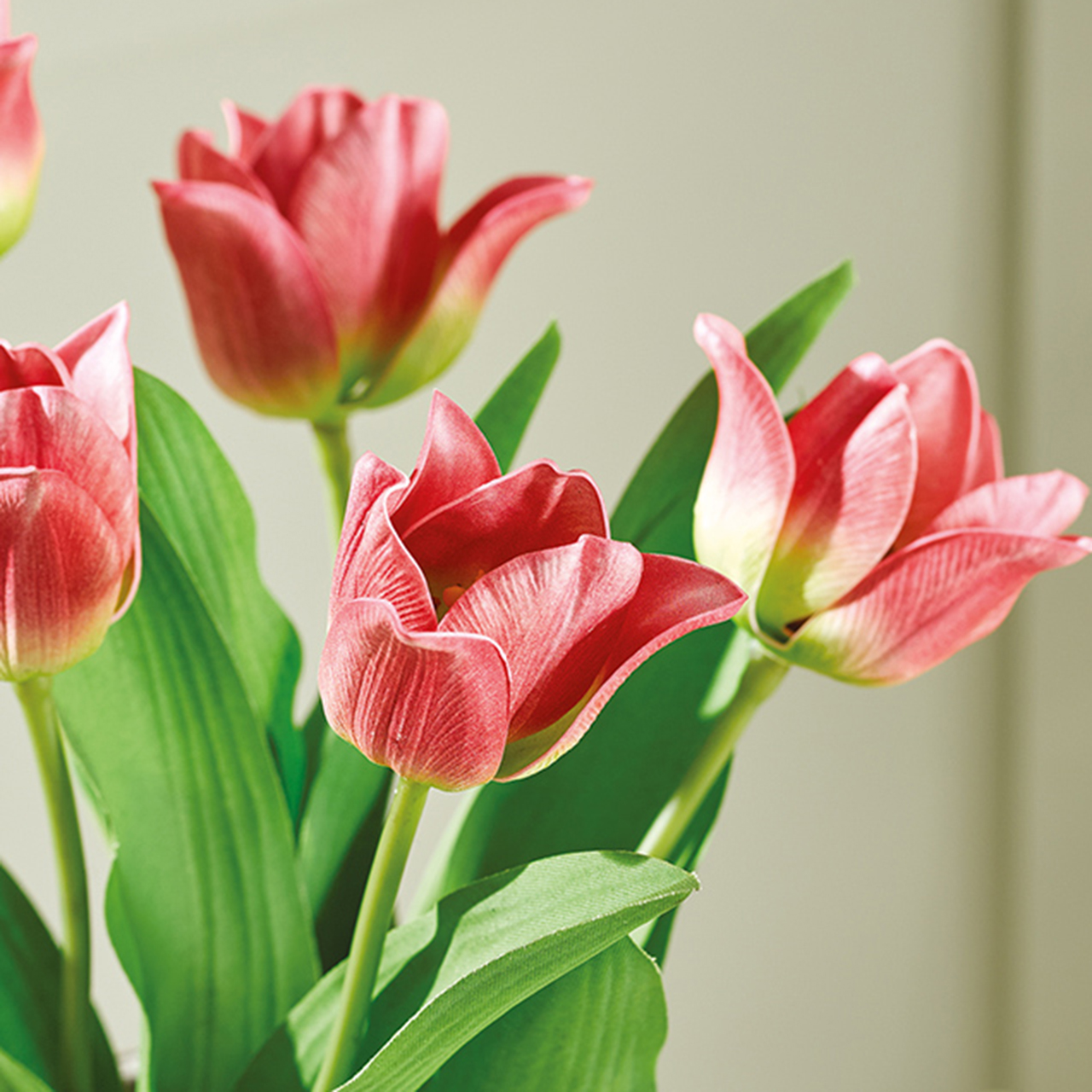 Pink Tulips in Cement Pot