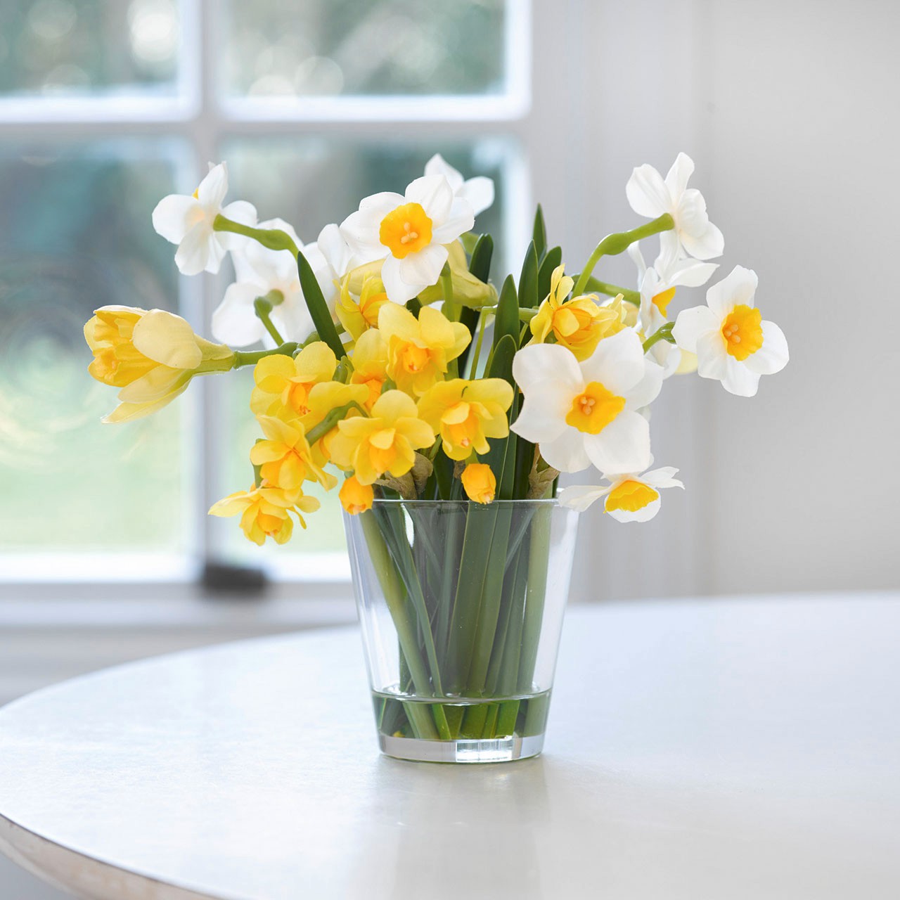 Paperwhite Narcissus Arrangement
