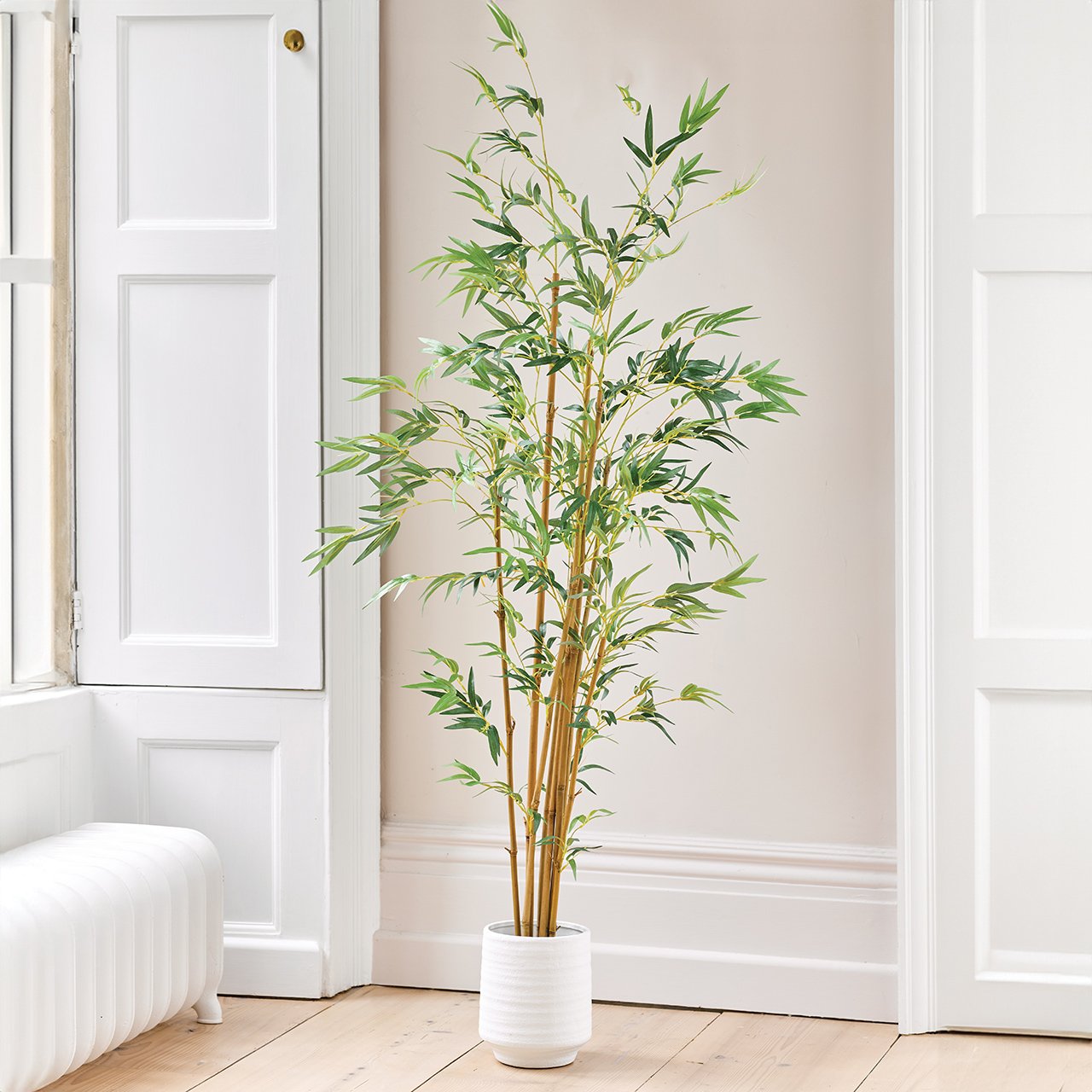 Potted Bamboo