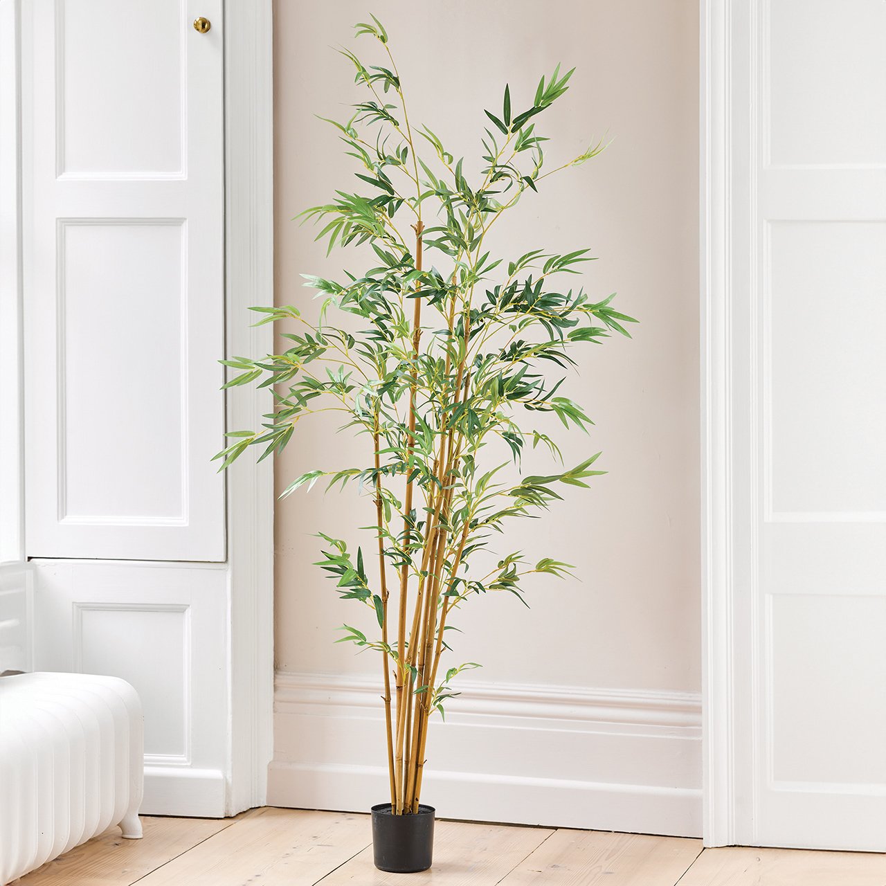 Potted Bamboo